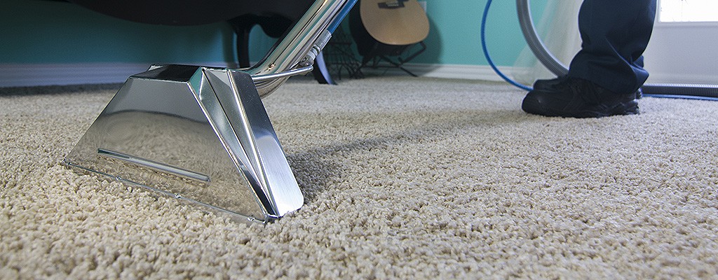 limpieza de alfombras profesional