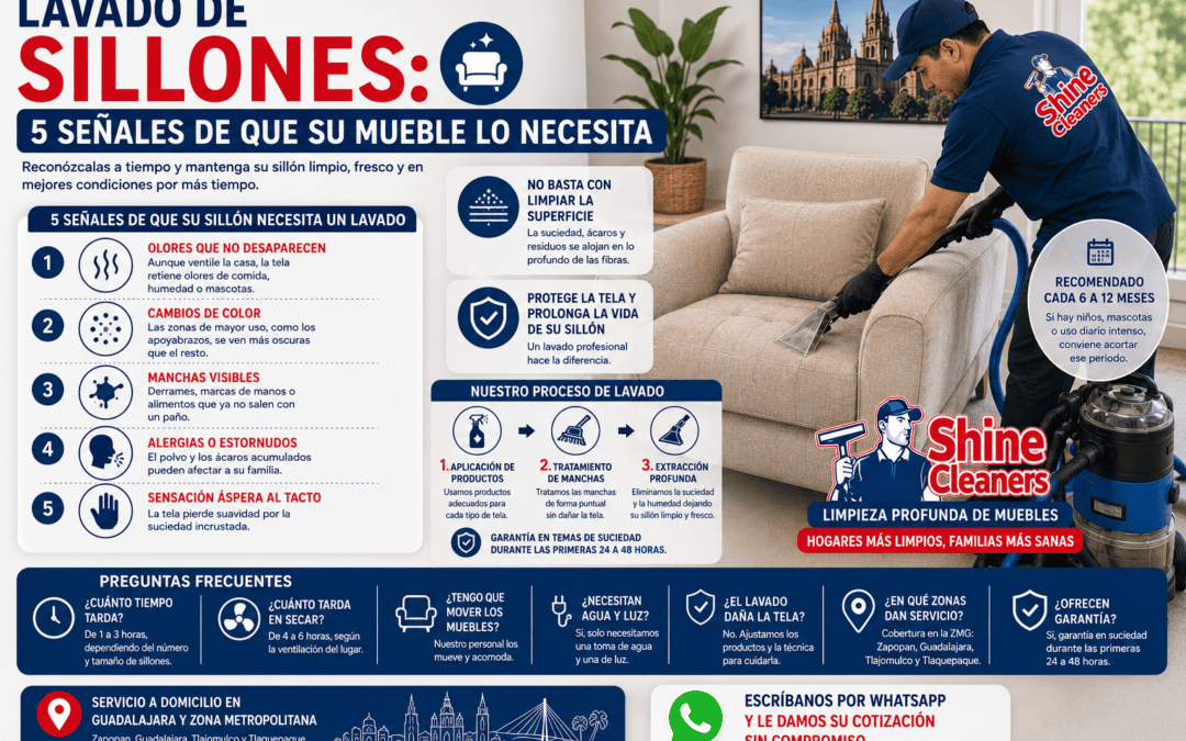 Lavado de Sillones: 5 Señales de que su Mueble lo Necesita