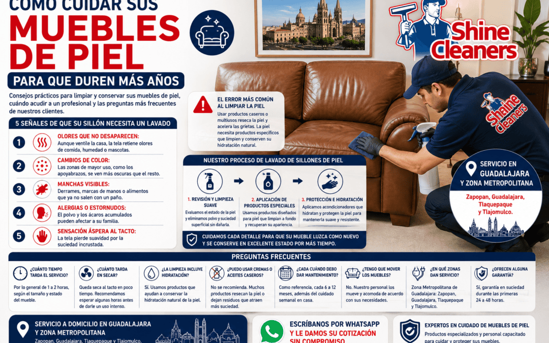 Cómo Cuidar sus Muebles de Piel para que Duren Más Años